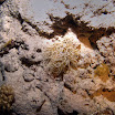 PB201647-t.JPG