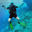PB211685-t.JPG