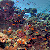 PB211680-t.JPG