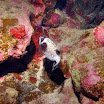 PB211681-t.JPG