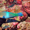 PB211679-t.JPG
