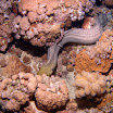 PB211777-t.JPG