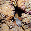 PB211780-t.JPG