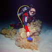PB211787-t.JPG