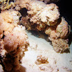 PB221890-t.JPG