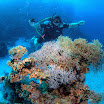 PB231923-t.JPG