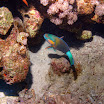 PB231919-t.JPG