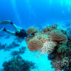 PB231926-t.JPG