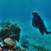 PB242047-t.JPG