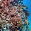 PB242066-t.JPG