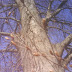 photo.jpeg photo.jpeg
