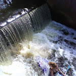 photo.jpeg