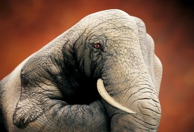 [hand_painting_art_33[6].jpg]