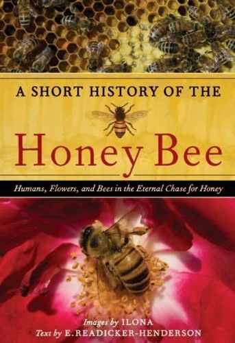 [Honey Bee[4].jpg]