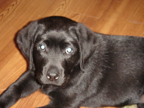 10052007 016.JPG