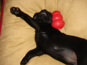 10052007 021.JPG
