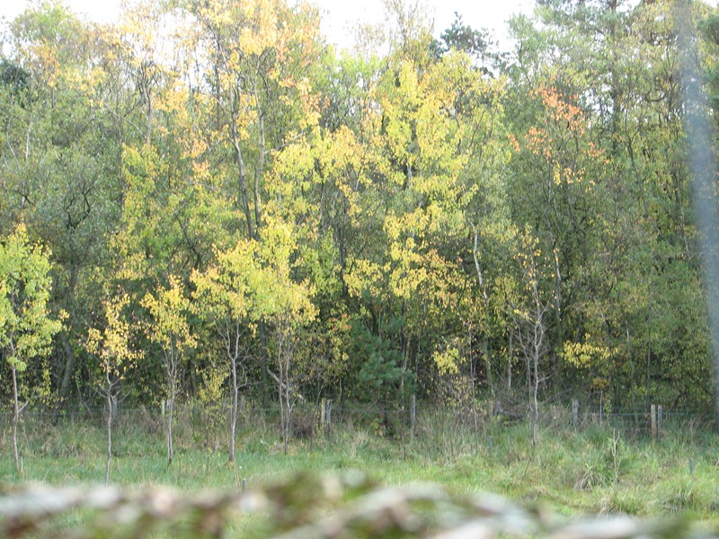 IMG_6150 IMG_6150