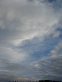 DSC01410.JPG