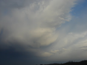 DSC01423.JPG