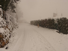 DSC00730.JPG