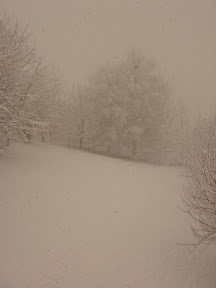 DSC00723.JPG