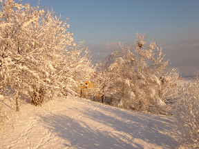 DSC01059.JPG
