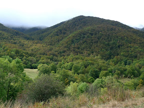 P1000144.JPG