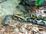 DSC05111.JPG
