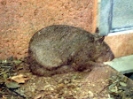 DSC05157.JPG