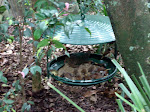 DSC05163.JPG