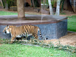 DSC05199.JPG
