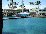 DSC05627.JPG