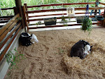 DSC05014.JPG