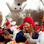 IMG_3526.jpg