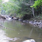 IMG_1005.jpg