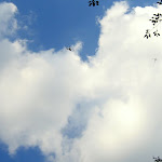 IMG_0991.jpg