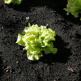 DSCN2108.JPG
