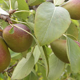 DSCN1415.JPG