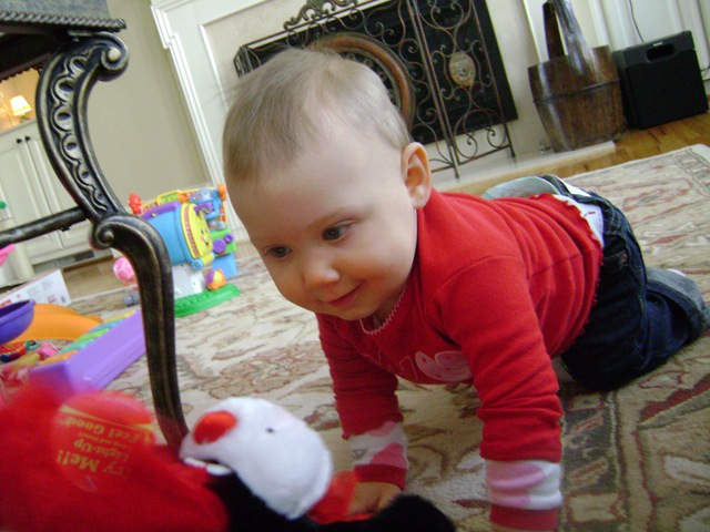 [DSC03018[12].jpg]