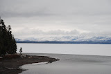 DSC_0341.JPG