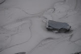 DSC_0446.JPG