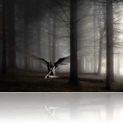 angelic_solice_400 angelic_solice_400