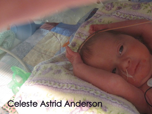 [CelesteAstrid023.jpg]