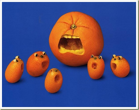 http://lh4.ggpht.com/_dlkAw43cLC0/SUGJZ70r7sI/AAAAAAAABuM/0OM0-Kfe7DU/s800/05-fruit-and-vegetable-art-orange-thumb1.jpg