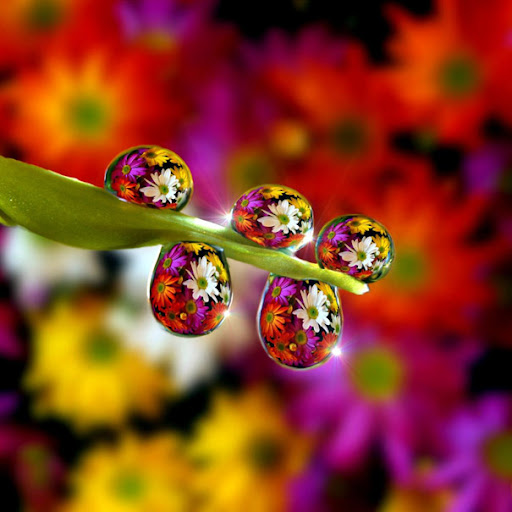 Microworld