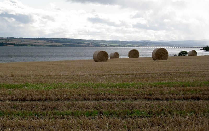 [cromarty_bridge[9].jpg]