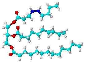 [triglyceride_molecule2[2].jpg]