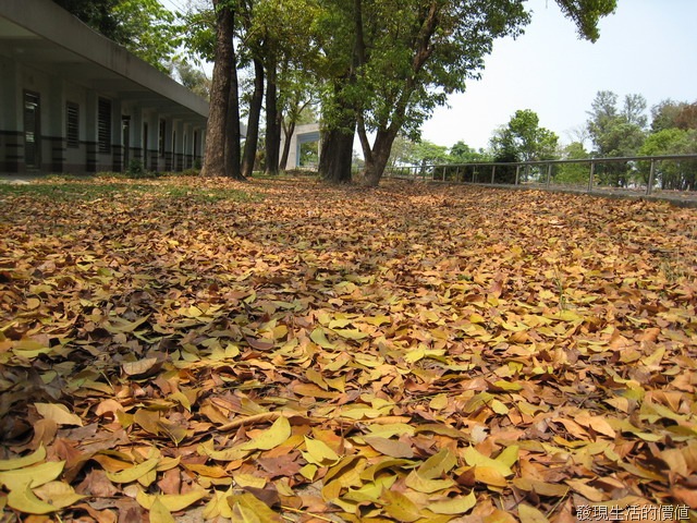 [JingLiau_Elementary_School739_640x480[8].jpg]
