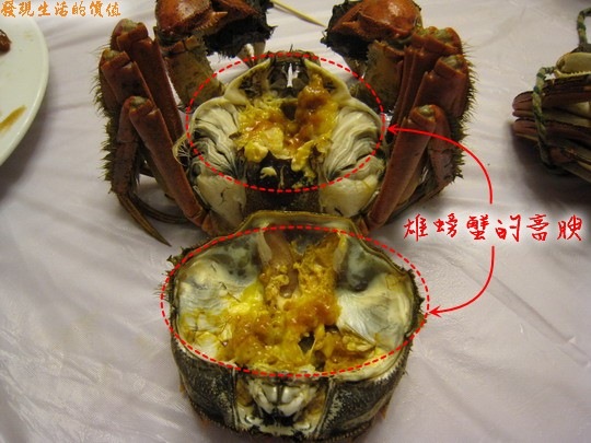 crab02