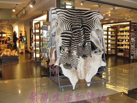 [South_Africa_JNB082.jpg]